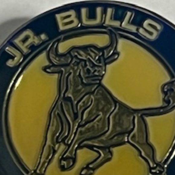 Jr. Bulls Youth Hockey Tampa, Florida Lapel Hat Pin 1" Circular - Picture 6 of 8